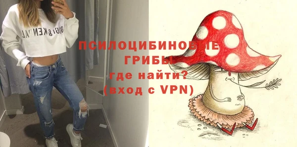 MDMA Premium VHQ Инсар