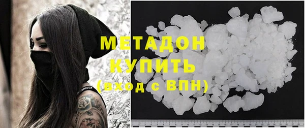 прущие грибы Иннополис