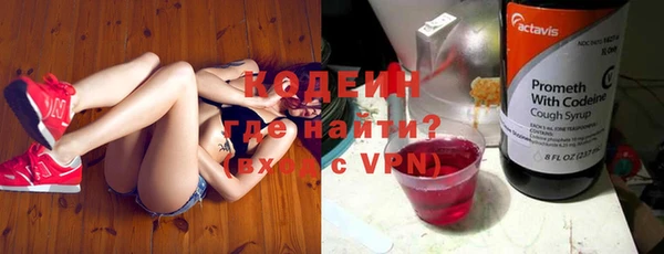 apvp Инта