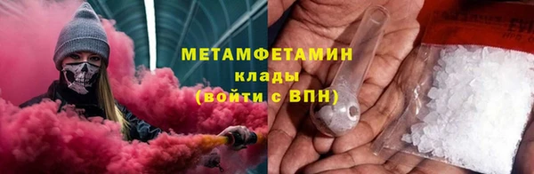 прущие грибы Иннополис