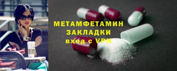 прущие грибы Иннополис