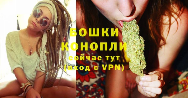 прущие грибы Иннополис