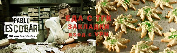 прущие грибы Иннополис