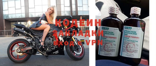 apvp Инта
