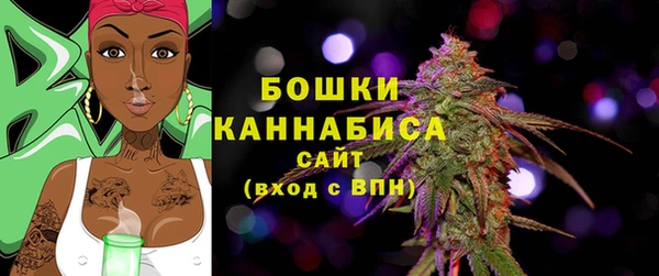 apvp Инта