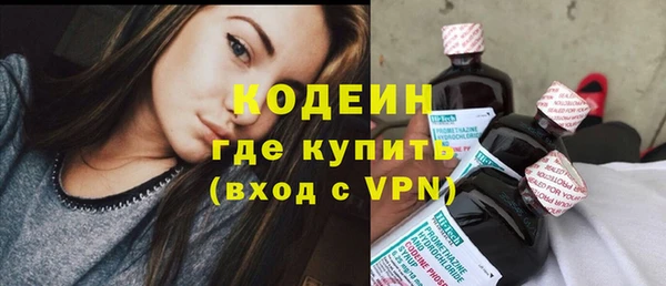 прущие грибы Иннополис