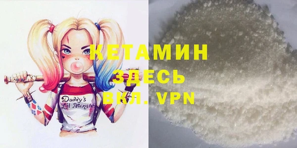 прущие грибы Иннополис