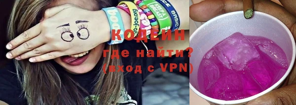 apvp Инта